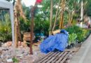 Pemkot Jakut Bakal Tertibkan Pedagang ‘Baru’ Tanaman Samping JIS
