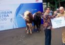 Pemkot Jakut Terima Bantuan Hewan Kurban dari ASTRA GROUP