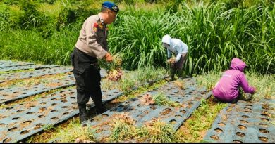Jelang Galungan-Kuningan, Polairud Bangli Pantau Ketahanan Pangan Petani Danau