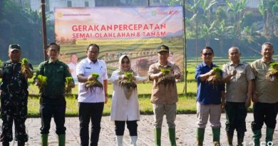 Gerakan Percepatan Tanam, Sukabumi Masuk Fase Swasembada Berkelanjutan