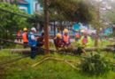 Tiang JTM Terangkat dan Roboh, akibat angin puting beliung, PLN Berjibaku pulihkan Listrik